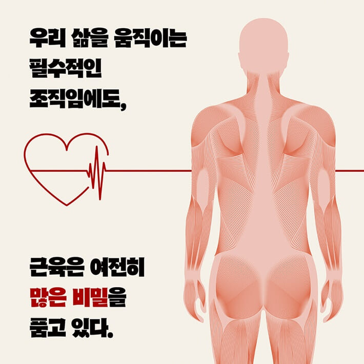 카드뉴스7