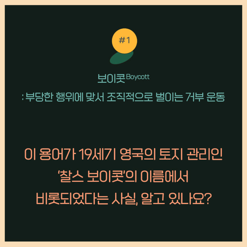 카드뉴스