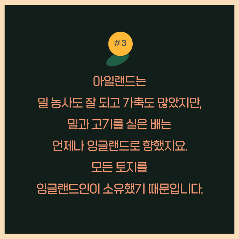 카드뉴스