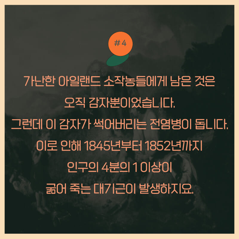 카드뉴스