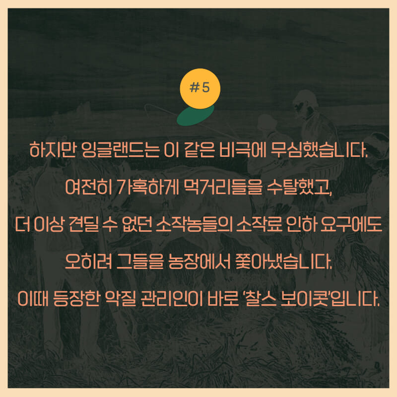 카드뉴스