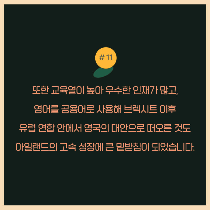 카드뉴스