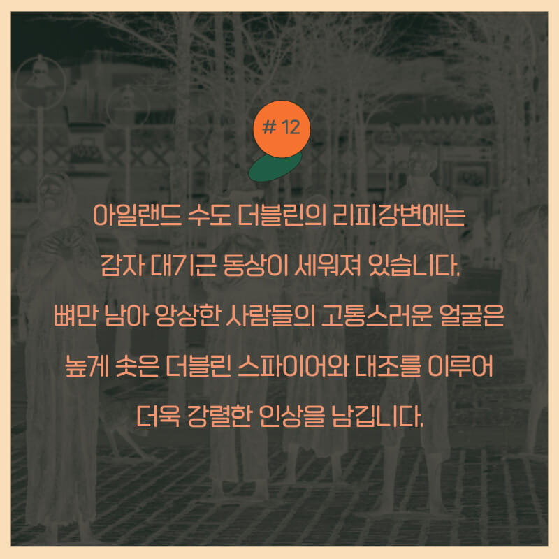 카드뉴스