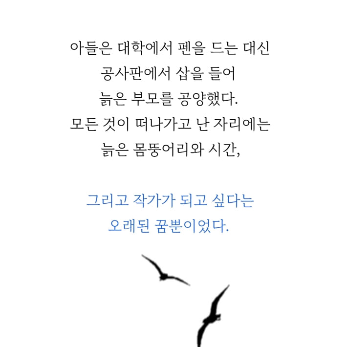 카드뉴스4