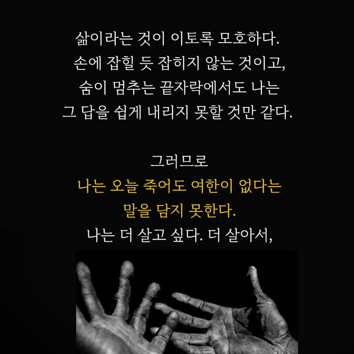 카드뉴스7