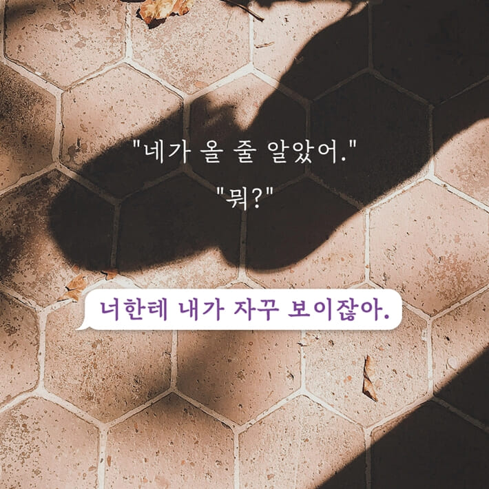 카드뉴스1