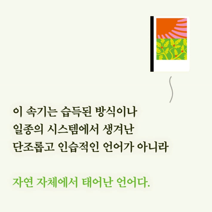 카드뉴스8