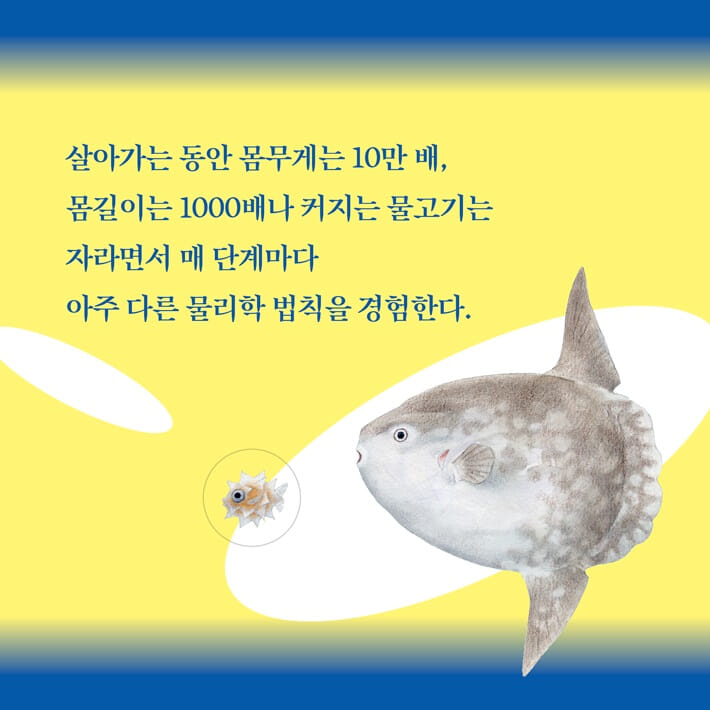 카드뉴스1