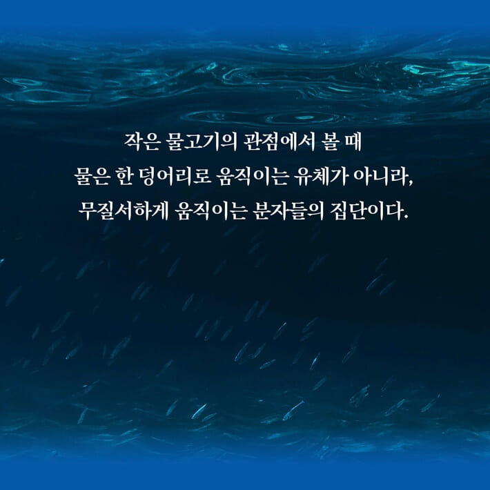 카드뉴스2
