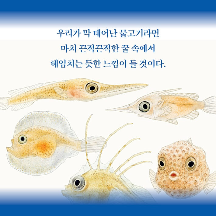 카드뉴스3
