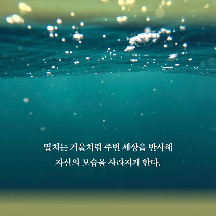 카드뉴스5