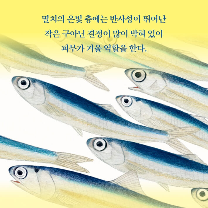 카드뉴스6