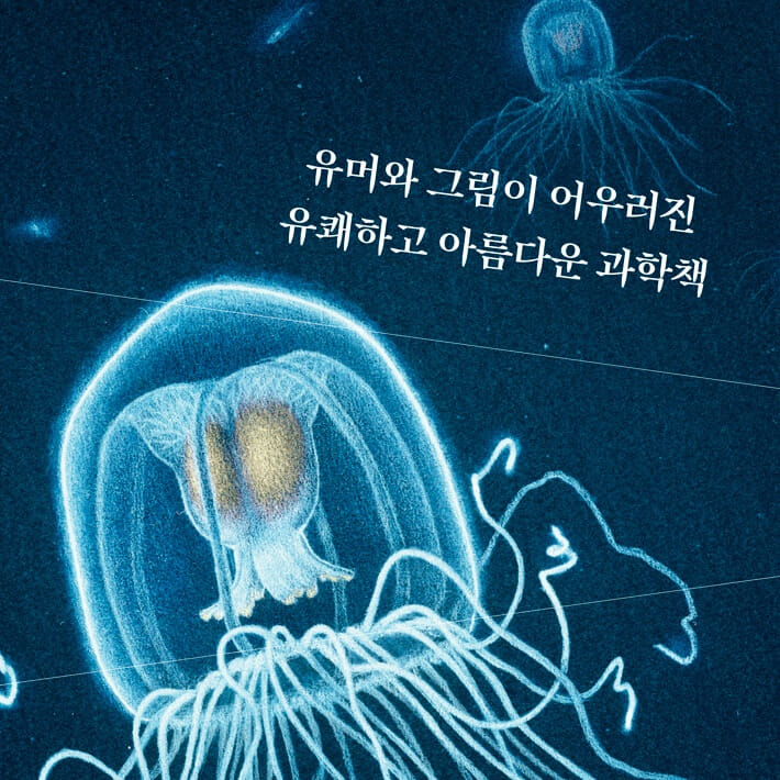 카드뉴스8