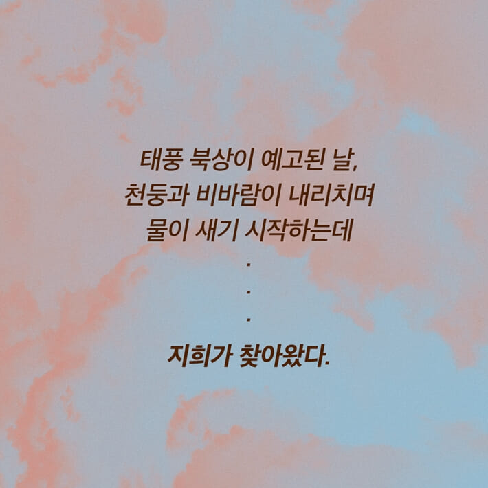 카드뉴스5