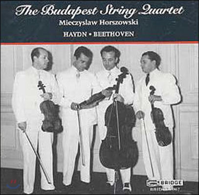 Budapest String Quartet / Haydn, Beethoven : String Quartets (수입/미개봉/bridge9067)