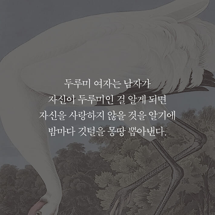 카드뉴스4