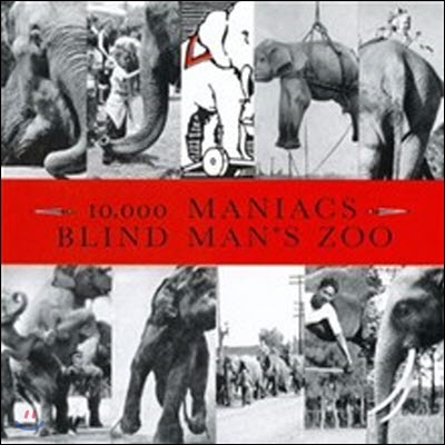 10,000 Maniacs / Blind Man&#39;s Zoo (수입/미개봉)