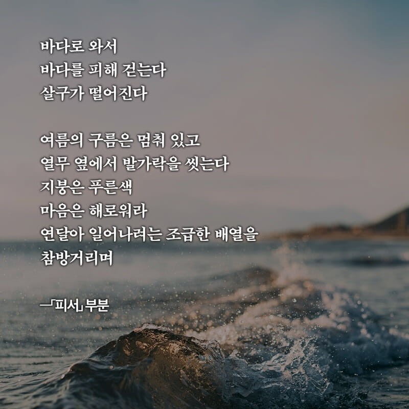 카드뉴스3