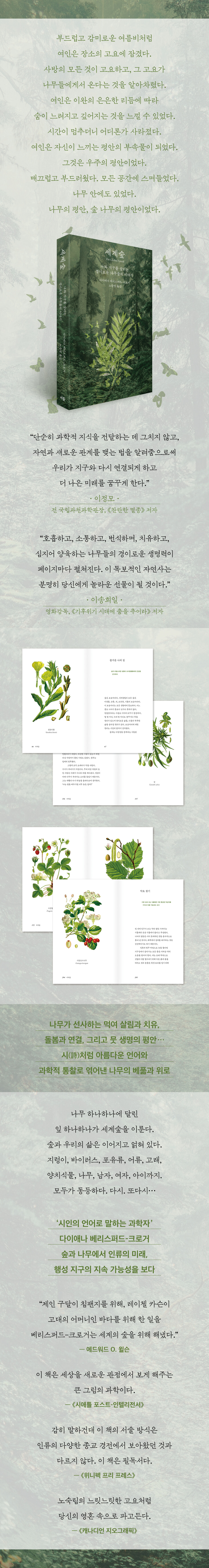 상세 이미지