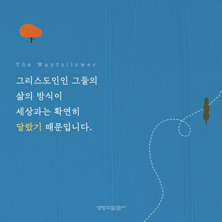 카드뉴스2