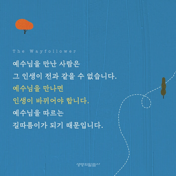 카드뉴스6