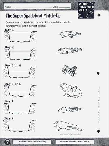 Macmillan/McGraw-Hill Science, Grade 4, Reading in Science Workbook