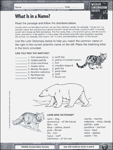 Macmillan/McGraw-Hill Science, Grade 4, Reading in Science Workbook