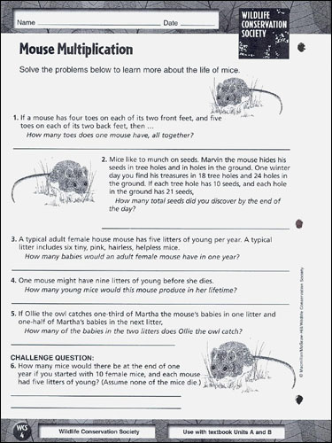 Macmillan/McGraw-Hill Science, Grade 4, Reading in Science Workbook