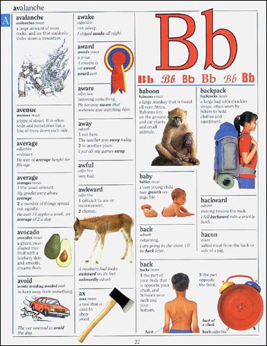DK Children's Illustrated Dictionary