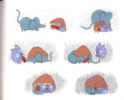 [베오영]Mushroom in the Rain (Paperback Set)