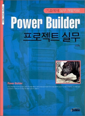 Power Builder 프로젝트 실무