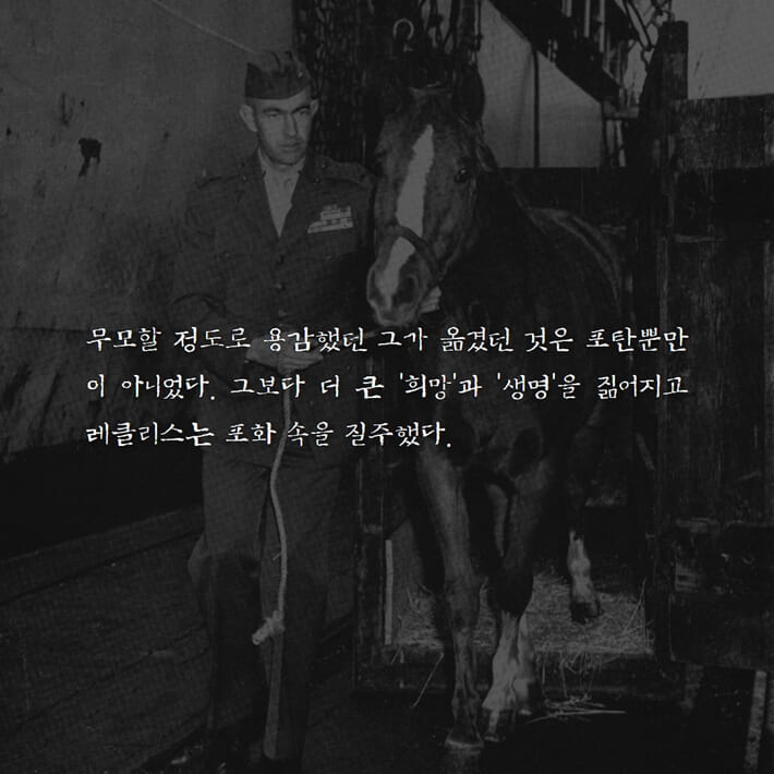 카드뉴스7