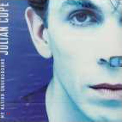 Julian Cope / My Nation Underground (수입/미개봉)