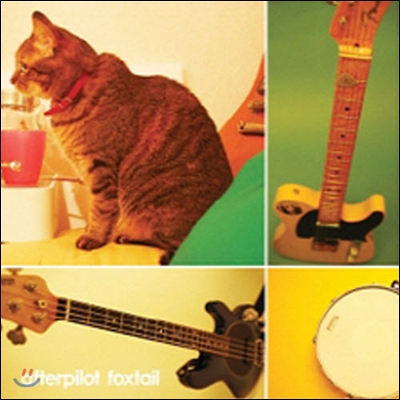 Afterpilot / foxtail (미개봉)