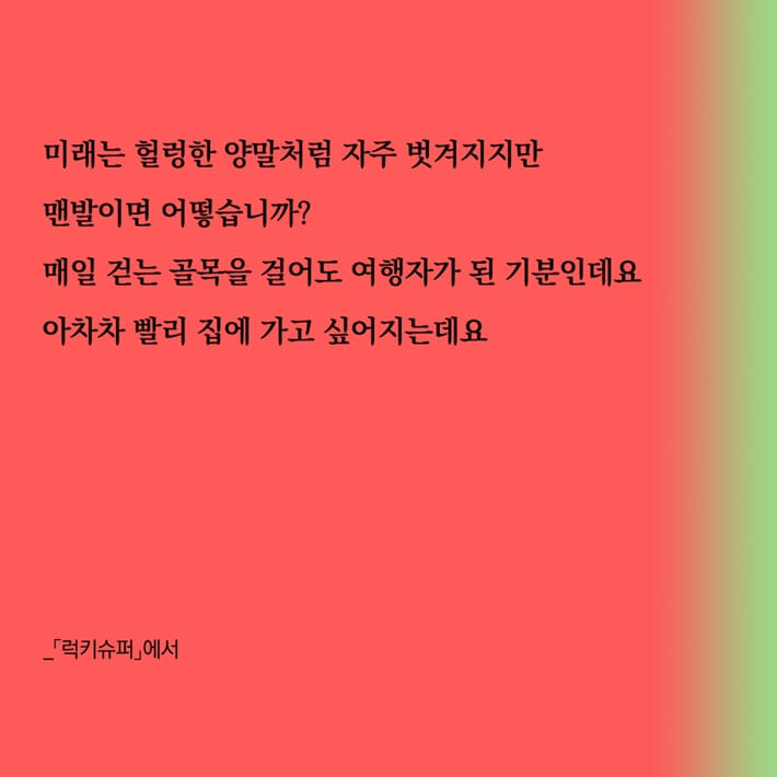 카드뉴스4