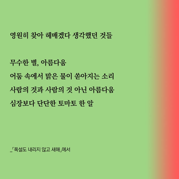 카드뉴스5