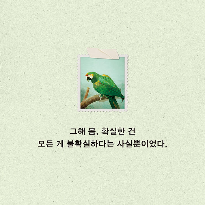 카드뉴스2