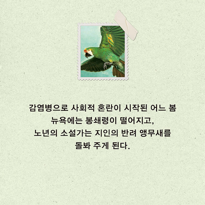 카드뉴스3