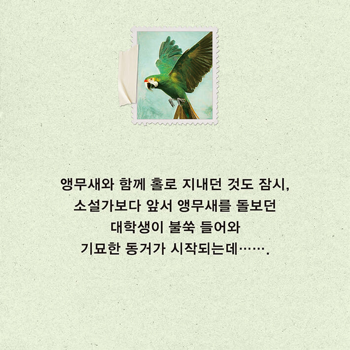 카드뉴스4