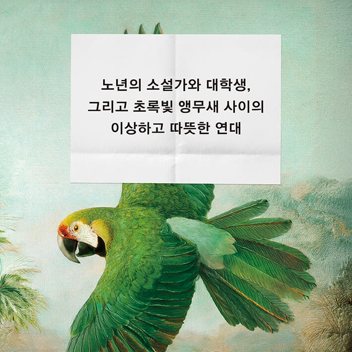 카드뉴스5