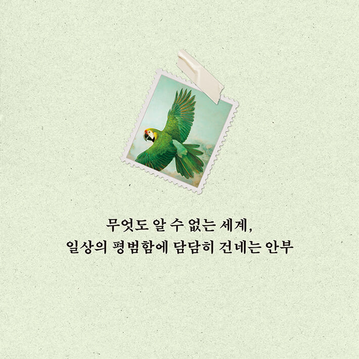 카드뉴스6
