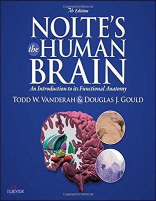 Nolte&#39;s the Human Brain