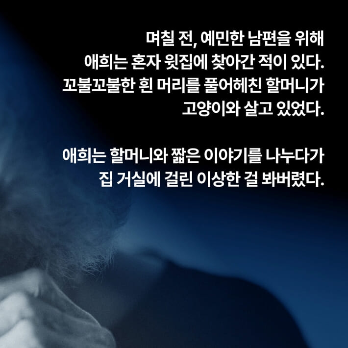 카드뉴스5