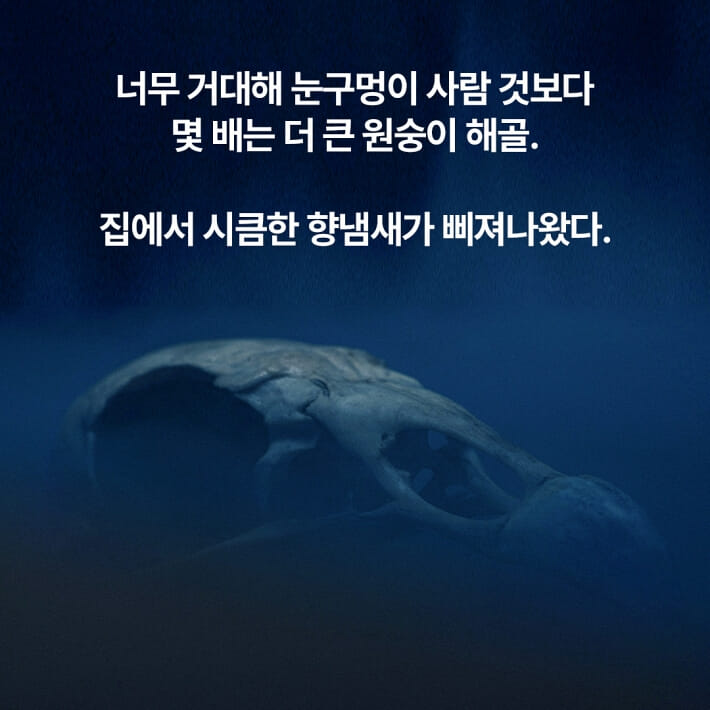 카드뉴스6
