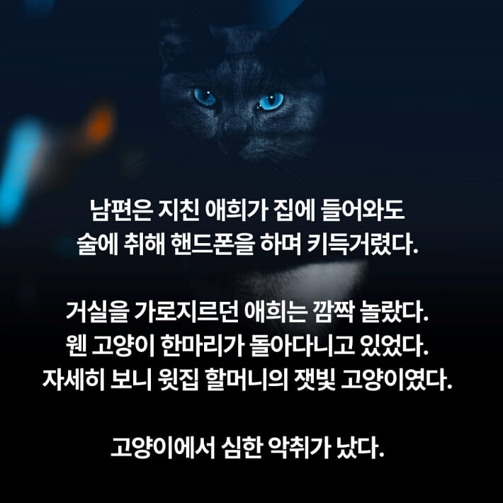 카드뉴스8