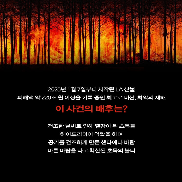 카드뉴스1