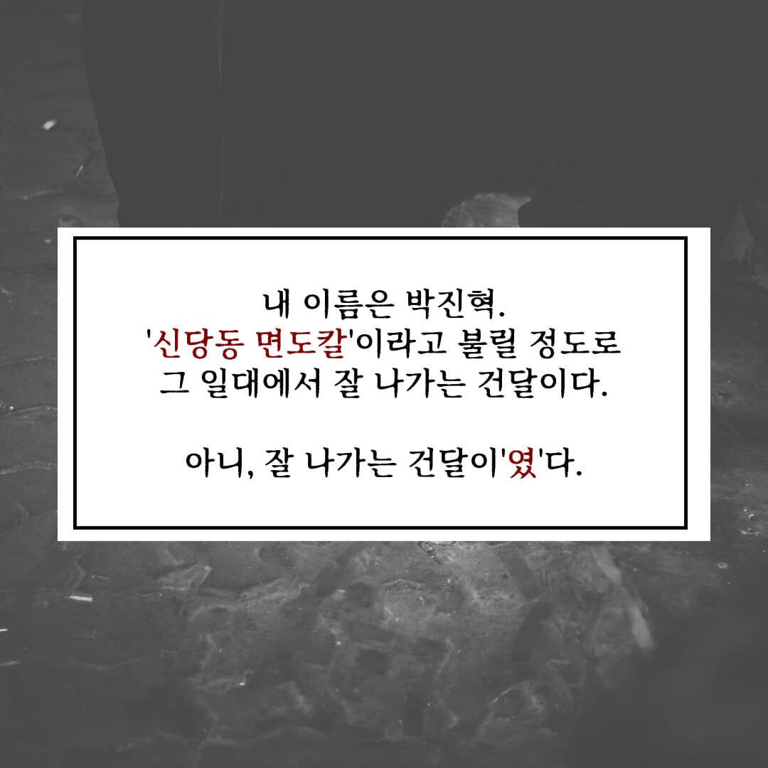 카드뉴스
