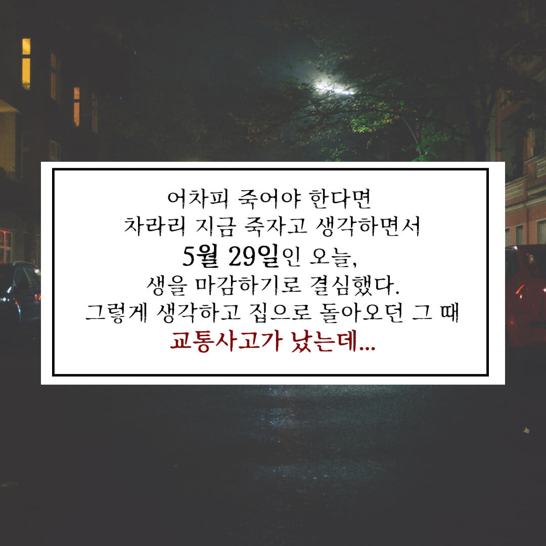 카드뉴스