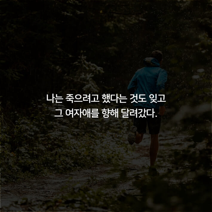 카드뉴스6