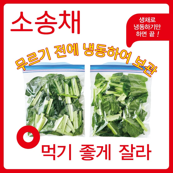 카드뉴스3